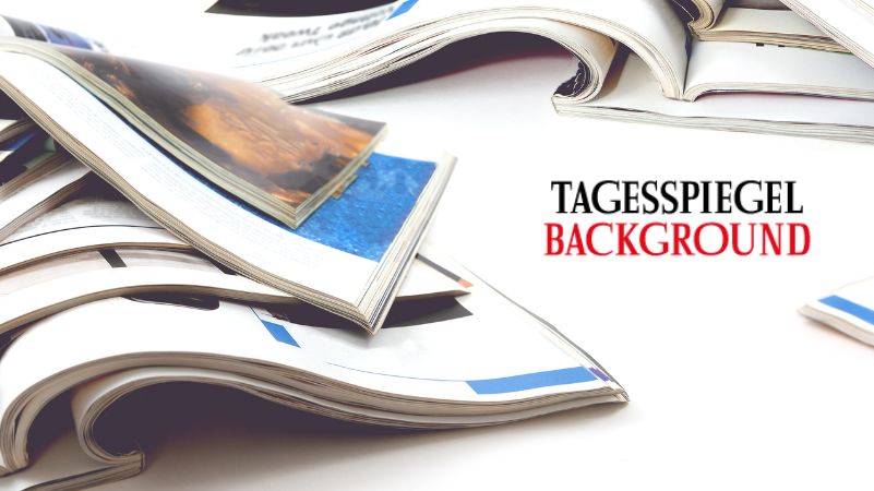 Artikel – Tagesspiegel – Visual